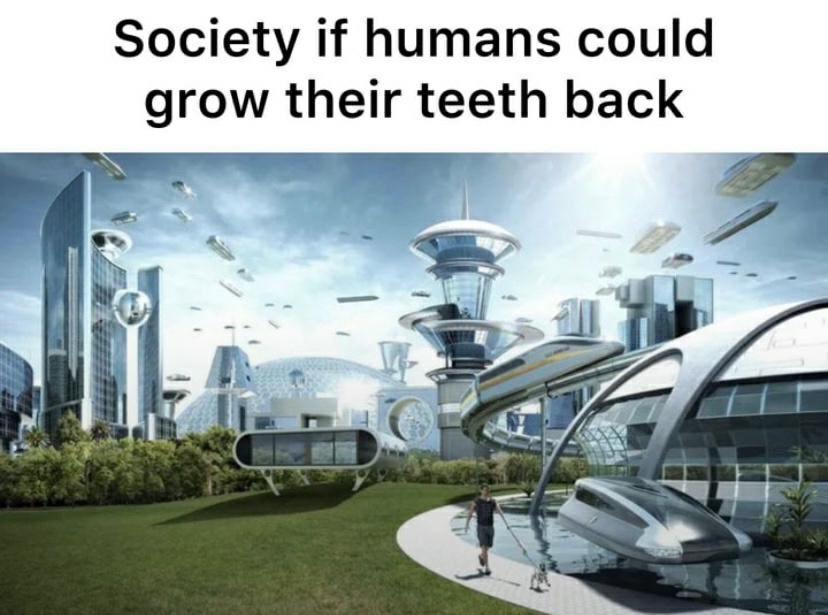 The perfect future